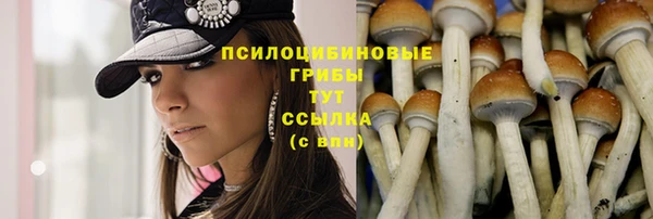 эйфоретик Абинск