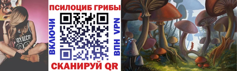 Псилоцибиновые грибы мухоморы  kraken ссылки  нарко площадка как зайти  Костомукша 